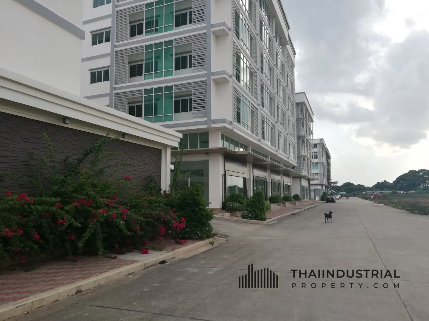Property image 12